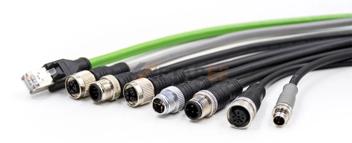 M12 Molded Cable Assemblies